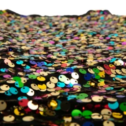 Alexandra Collection Sequin Tunic Top