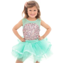 Dream Fairy Skirted Leotard