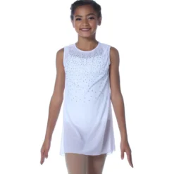 Mesh Rhinestone Dress