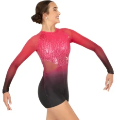 Ombre Cut Out Biketard