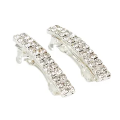 Rhinestone Barrette Pair